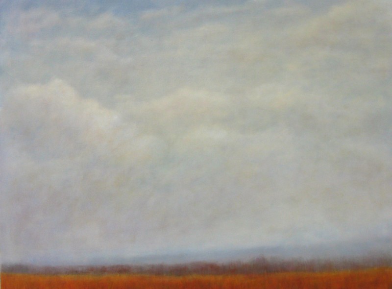 Broom Straw On A Cloudy Day