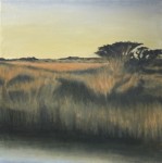 Late Afternoon in the Wetland II