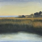 Late Afternoon in the Wetland I