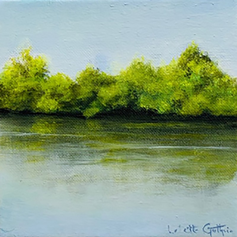 Looking Across University Lake