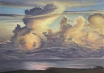 When Nature Goes Wild