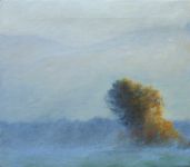 Yellow Tree In Fog